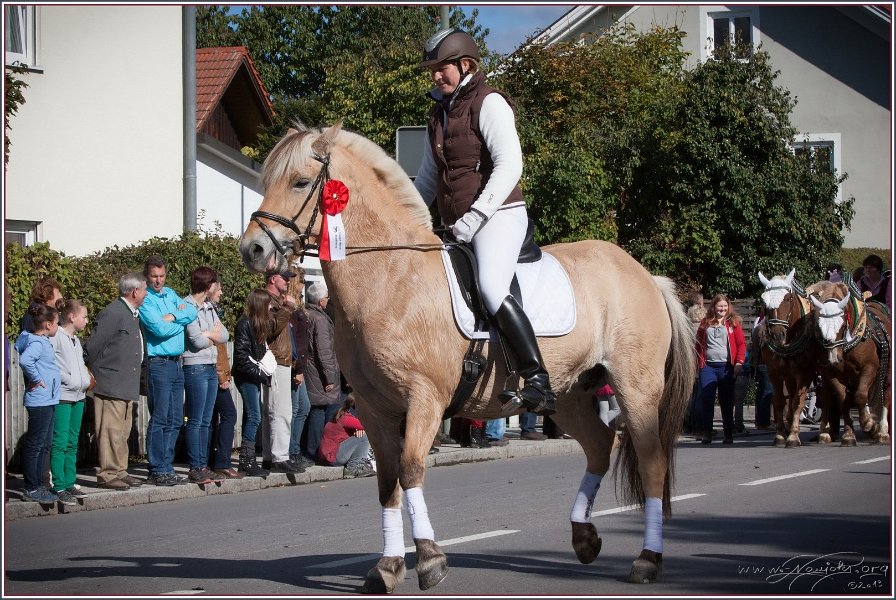 Vilsbiburg 2013 078
