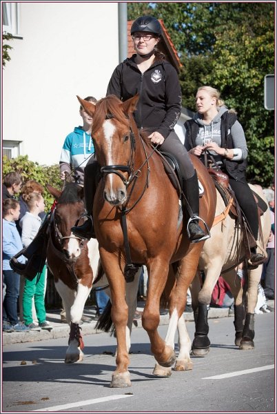 Vilsbiburg 2013 088