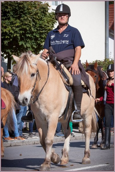 Vilsbiburg 2013 091