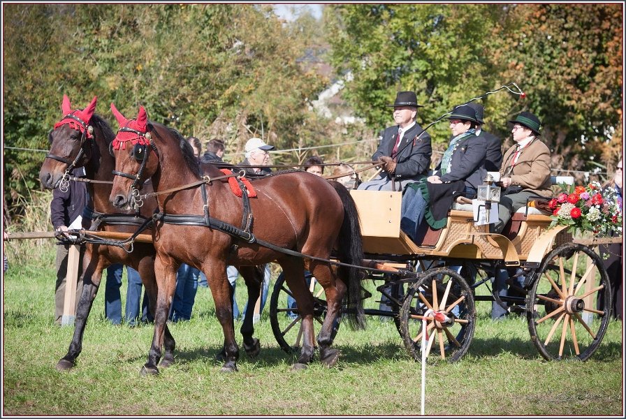 Vilsbiburg 2013 110
