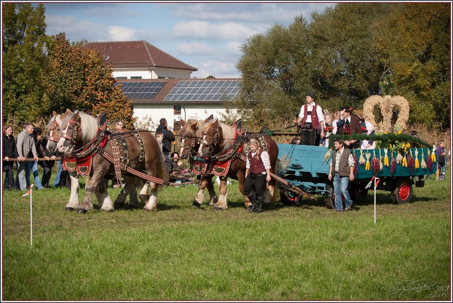Vilsbiburg 2013 117