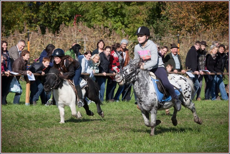Vilsbiburg 2013 147