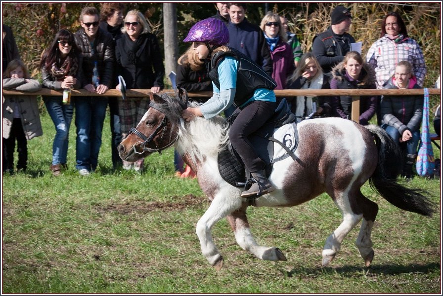 Vilsbiburg 2013 151
