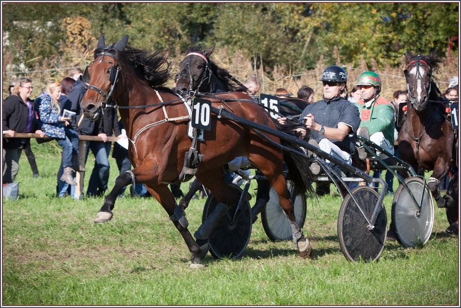 Vilsbiburg 2013 156