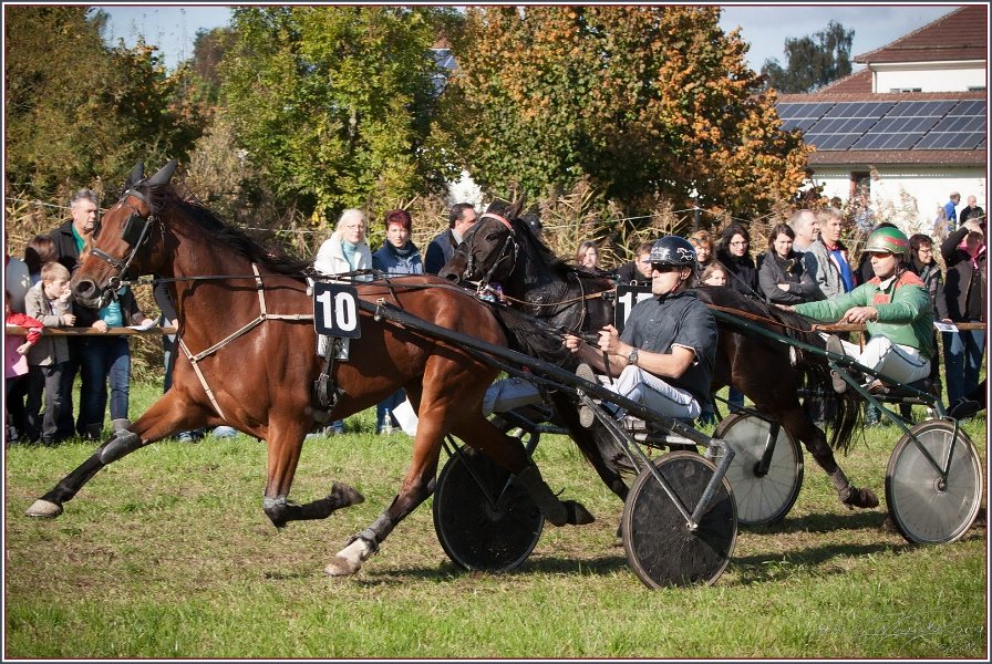 Vilsbiburg 2013 157