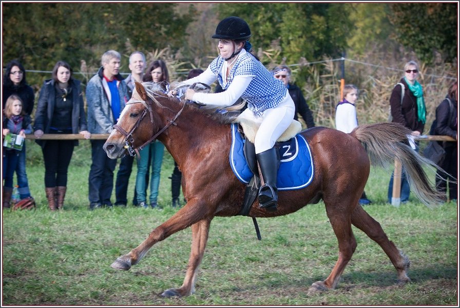 Vilsbiburg 2013 172