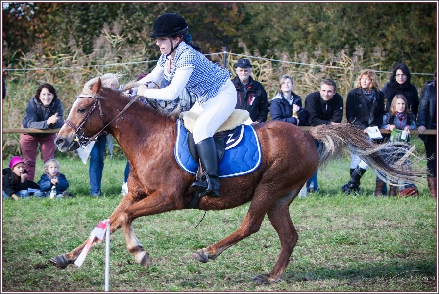 Vilsbiburg 2013 173