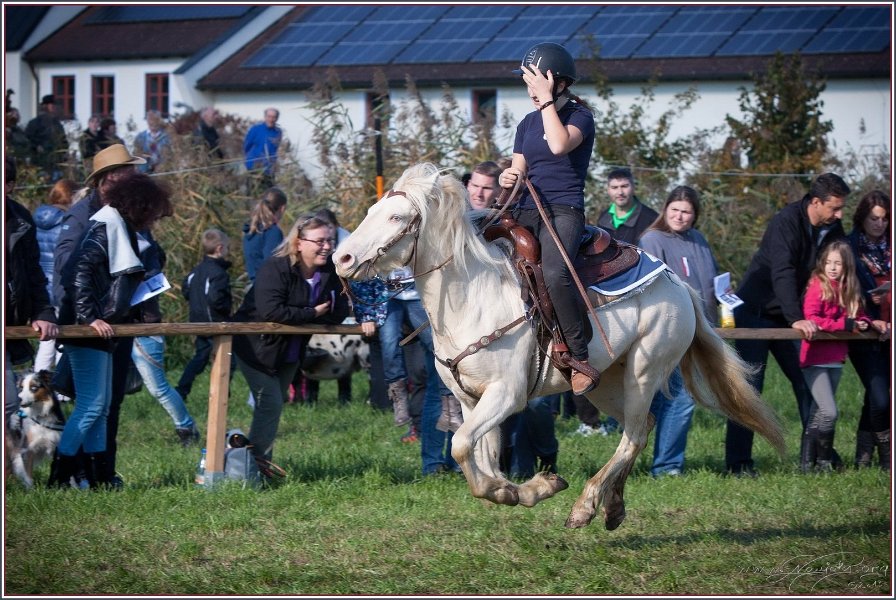Vilsbiburg 2013 179