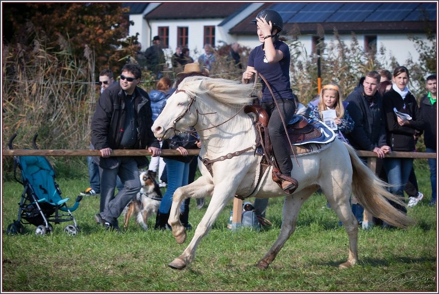 Vilsbiburg 2013 180