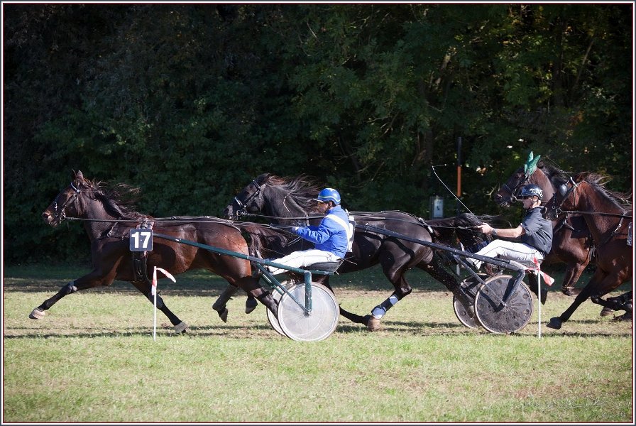 Vilsbiburg 2013 181