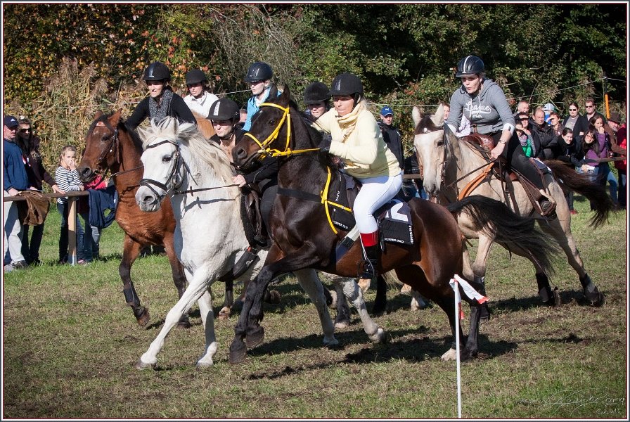 Vilsbiburg 2013 188