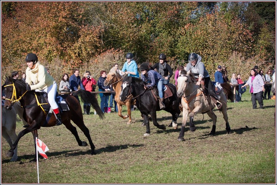 Vilsbiburg 2013 190