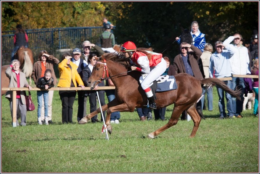 Vilsbiburg 2013 191