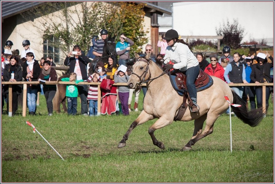 Vilsbiburg 2013 192