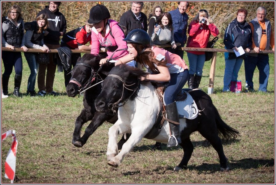 Vilsbiburg 2013 195