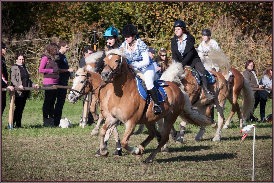 Vilsbiburg 2013 198