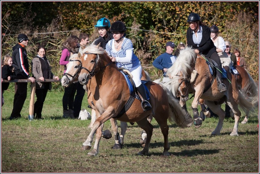 Vilsbiburg 2013 199