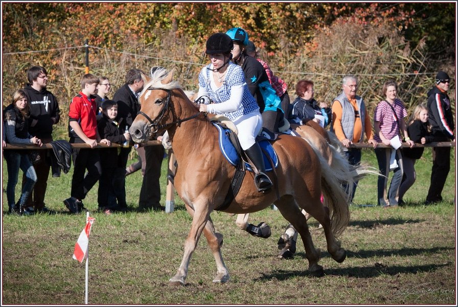 Vilsbiburg 2013 200