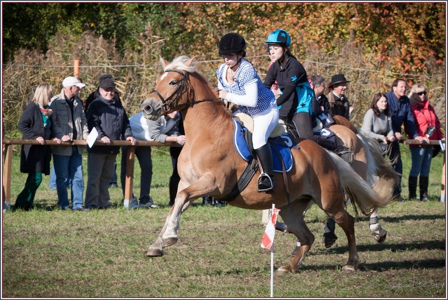 Vilsbiburg 2013 201