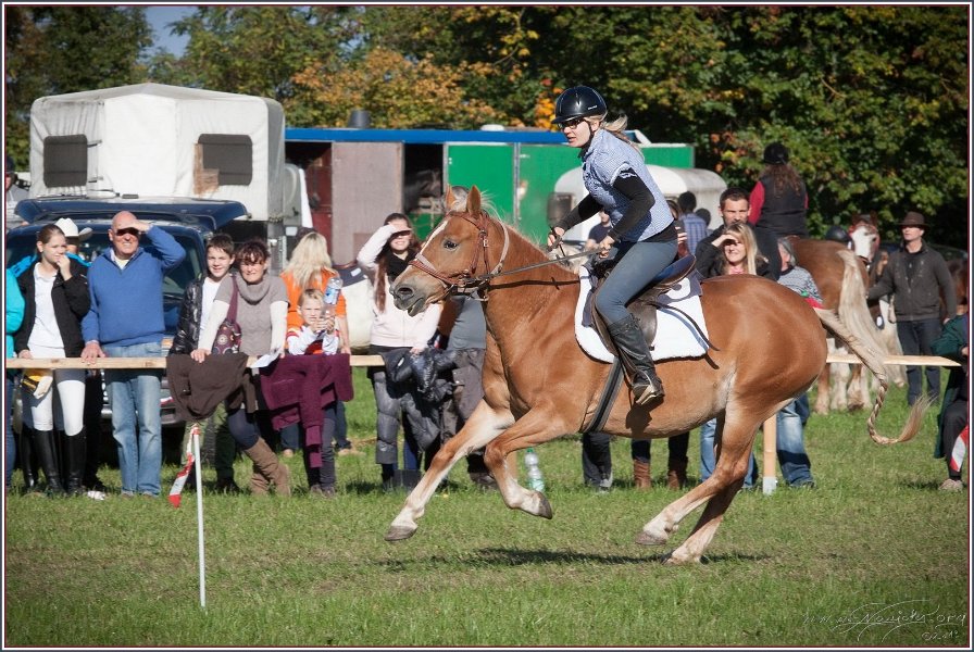 Vilsbiburg 2013 205