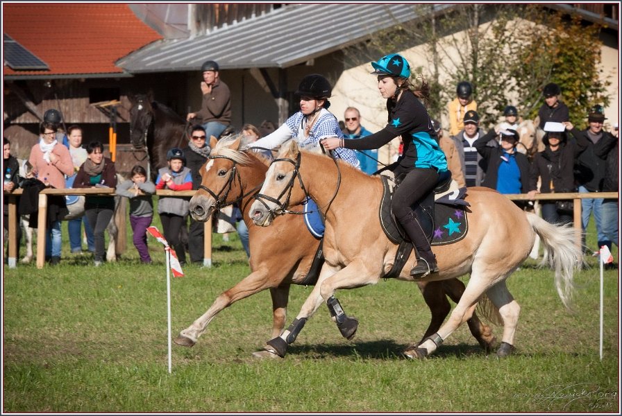 Vilsbiburg 2013 208