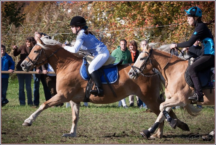 Vilsbiburg 2013 212