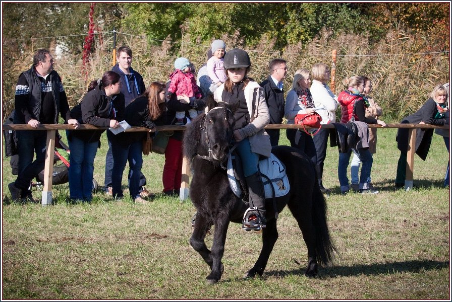 Vilsbiburg 2013 213