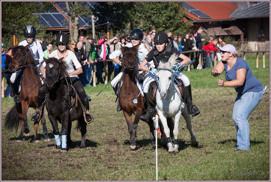 Vilsbiburg 2013 214