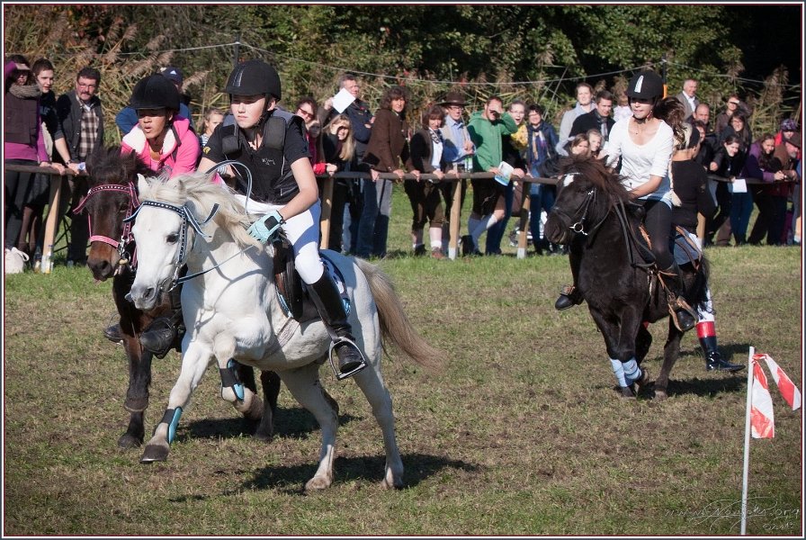 Vilsbiburg 2013 215