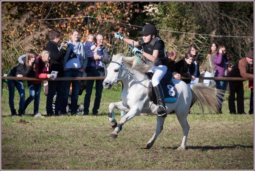 Vilsbiburg 2013 219