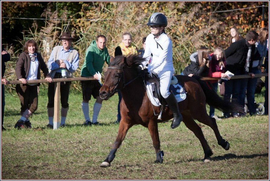 Vilsbiburg 2013 221