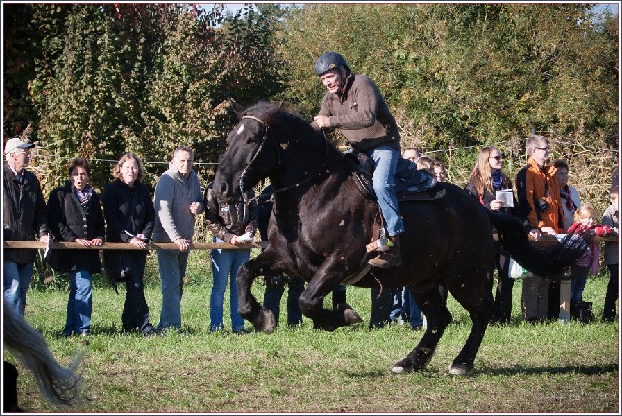 Vilsbiburg 2013 223