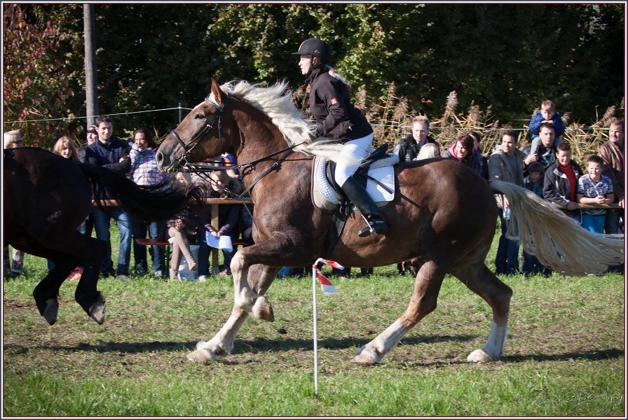 Vilsbiburg 2013 225