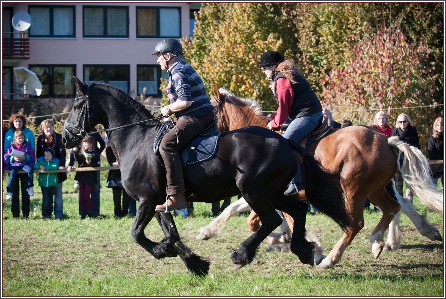 Vilsbiburg 2013 226