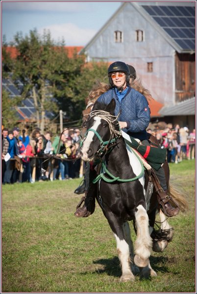 Vilsbiburg 2013 227