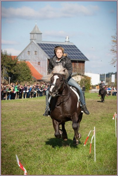 Vilsbiburg 2013 228