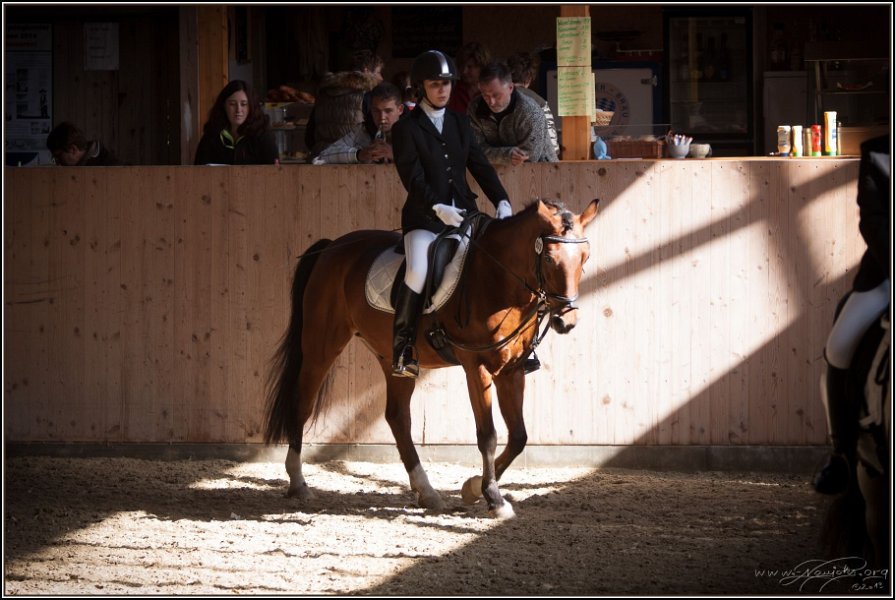Geisenhausen 2014 020