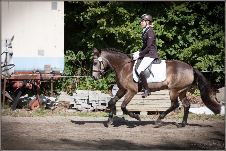 Geisenhausen 2014 036