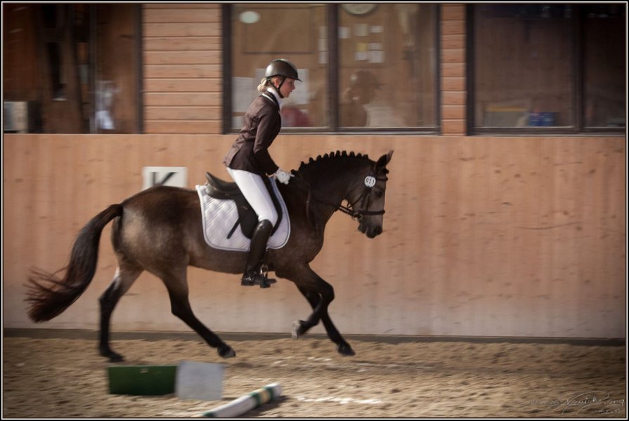 Geisenhausen 2014 109
