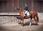 Geisenhausen 2014 032