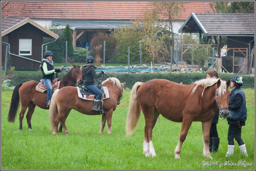 Haberskirchen 09 11 2014 010