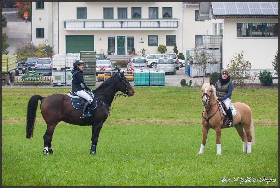 Haberskirchen 09 11 2014 012