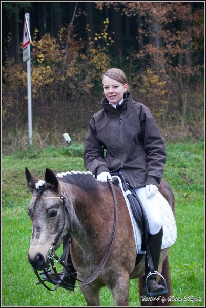 Haberskirchen 09 11 2014 017