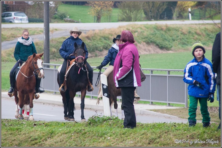 Haberskirchen 09 11 2014 022