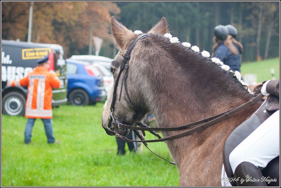 Haberskirchen 09 11 2014 026