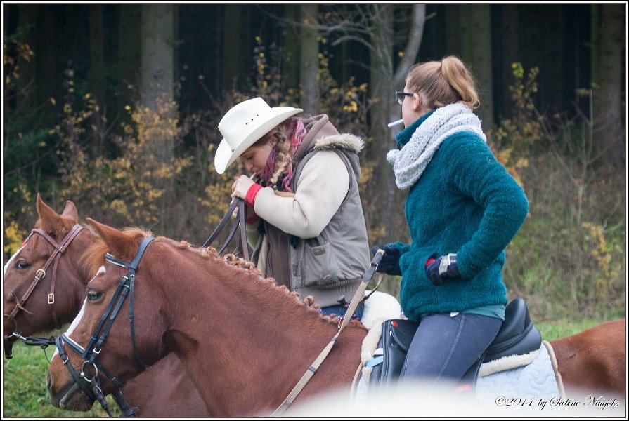 Haberskirchen 09 11 2014 028