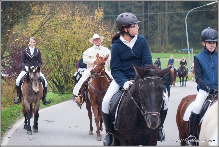 Haberskirchen 09 11 2014 037