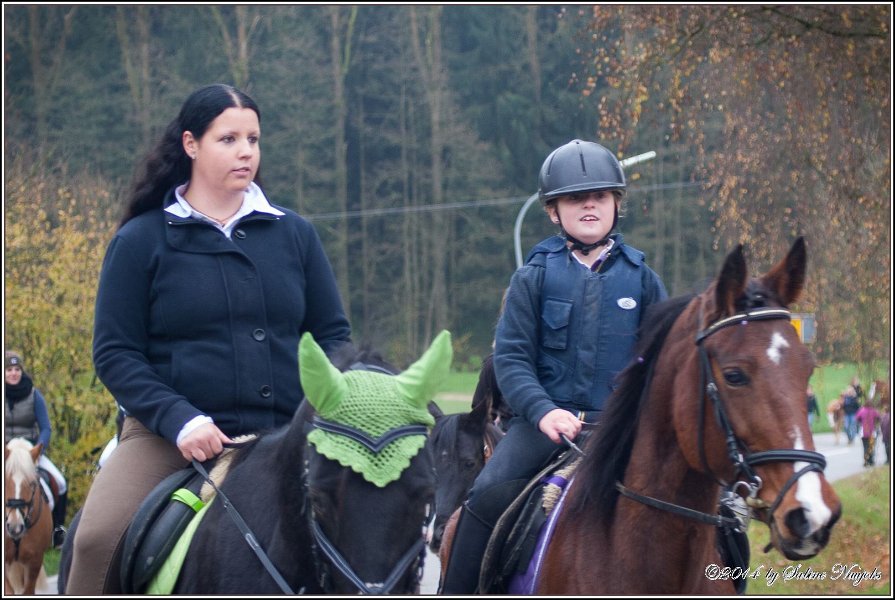 Haberskirchen 09 11 2014 040