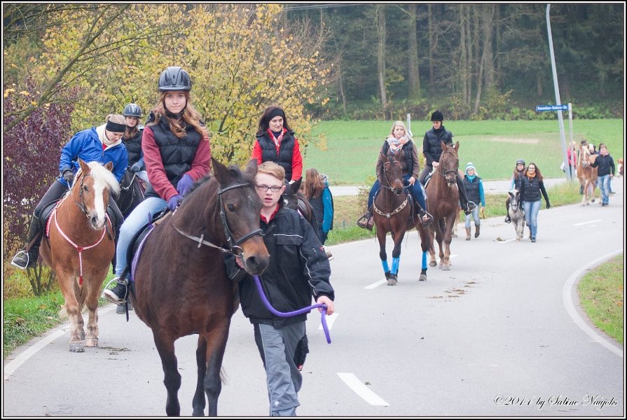 Haberskirchen 09 11 2014 042