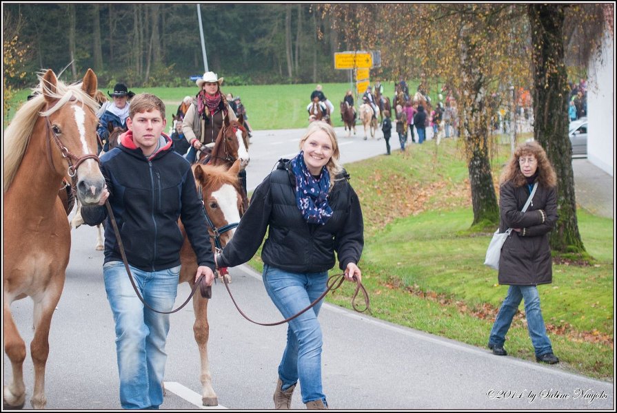 Haberskirchen 09 11 2014 045